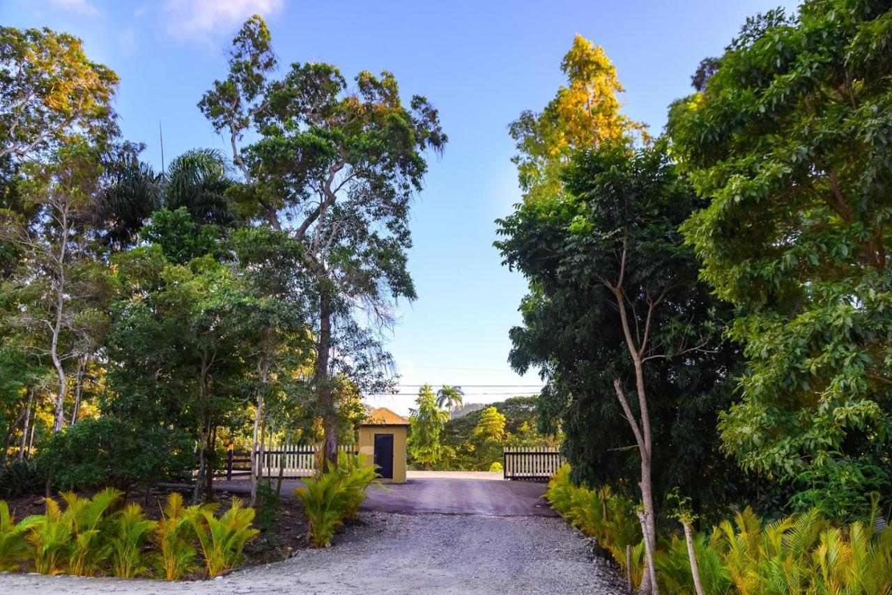 Hacienda La Huerta Puerto Plata, 1 Bdr别墅 外观 照片